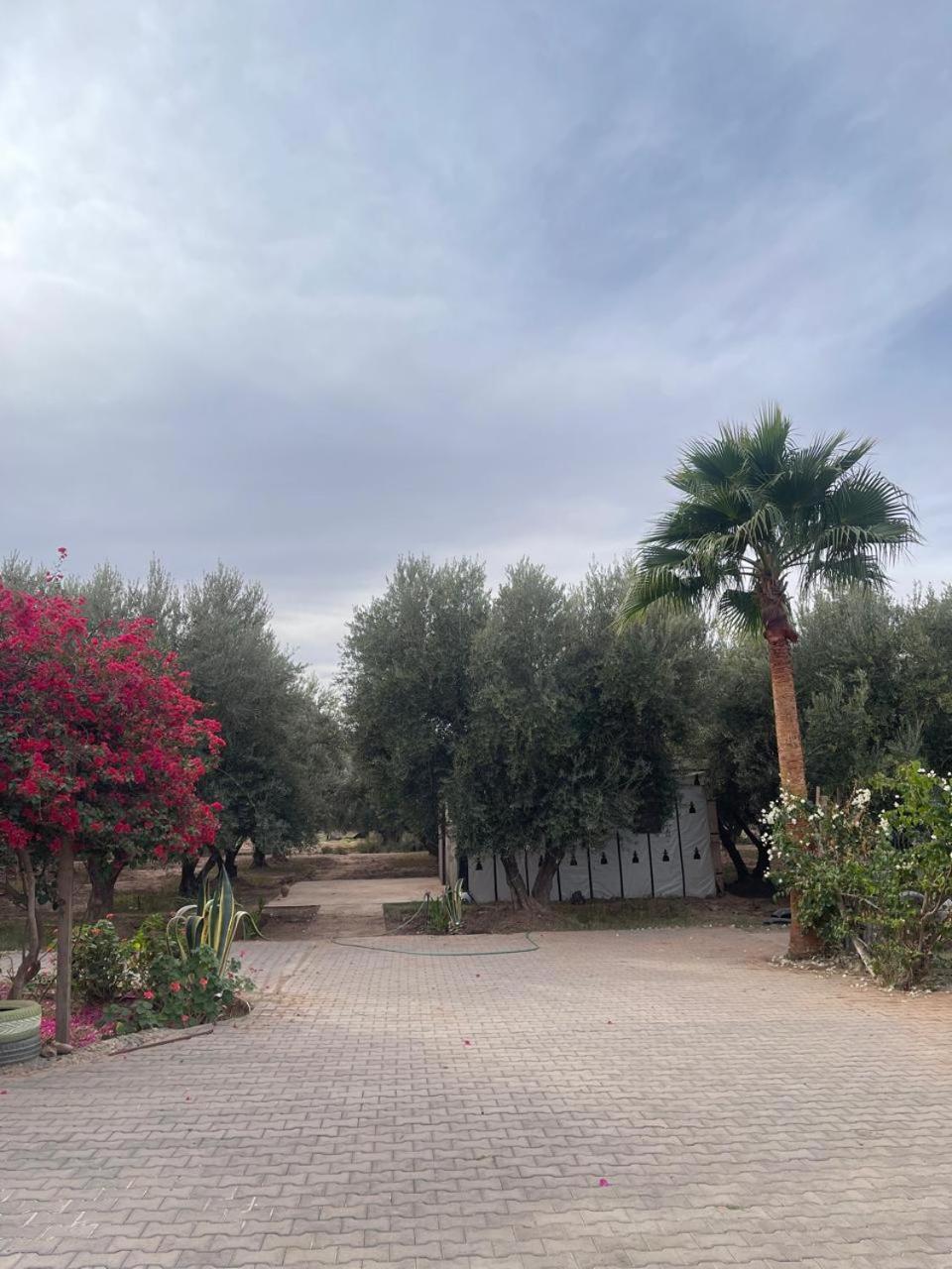 Riad Oussari Marrakesh Exterior foto