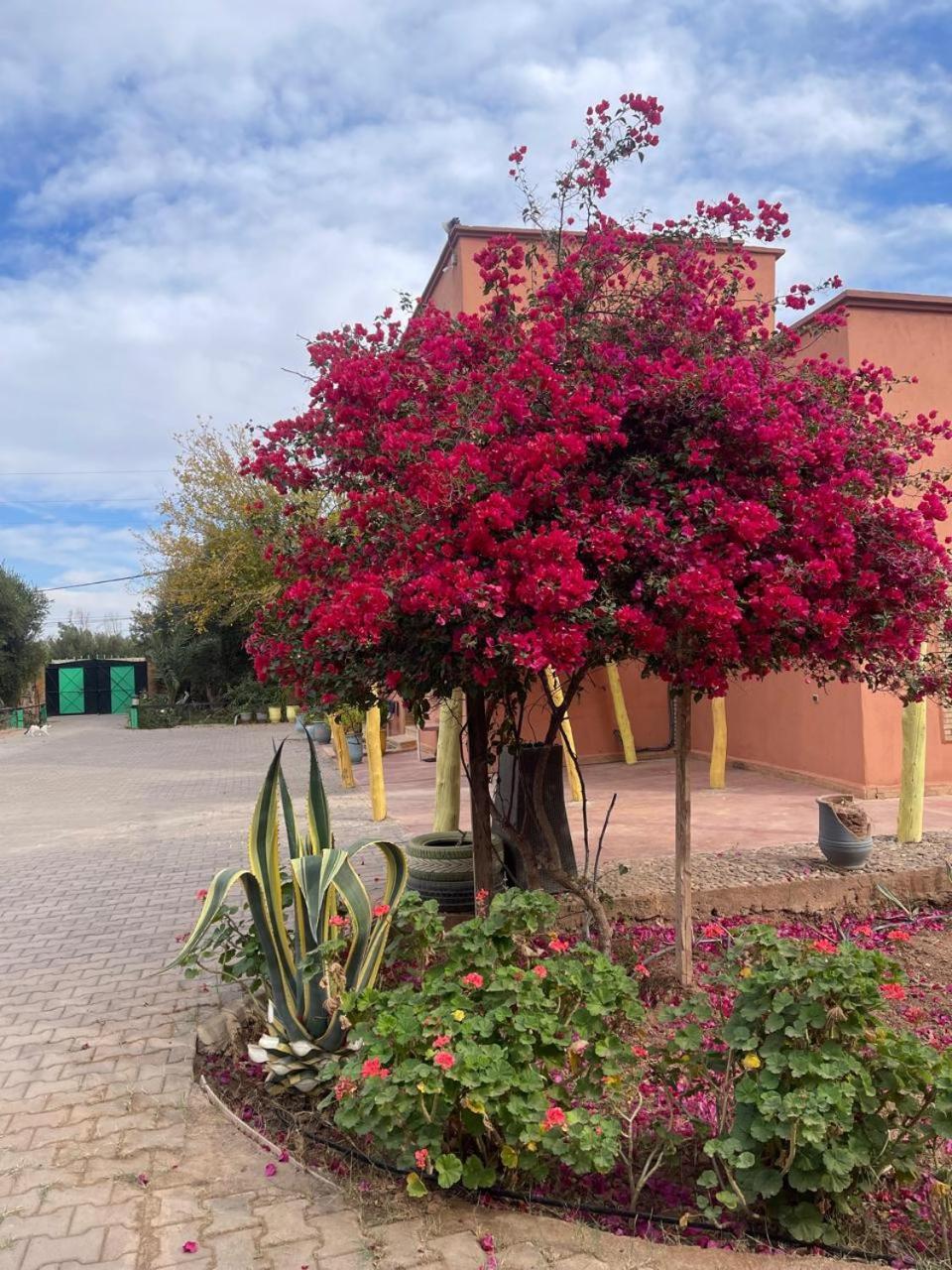 Riad Oussari Marrakesh Exterior foto